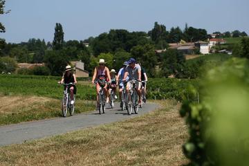 Small-Group St-Emilion Bike Tour from Bordeaux Including Wine Tastings and Lunch