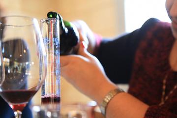 Small-Group Wine Tasting and Workshop in Bordeaux