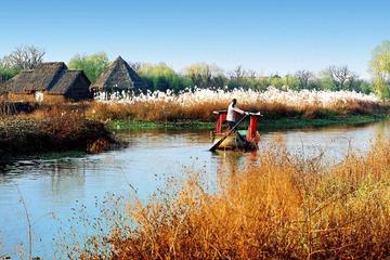 Private Hangzhou Tour with Xixi Wetland