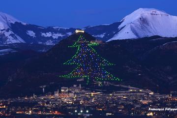 Full Day Tour from Rome to Gubbio: The biggest Christmas Tree in the World