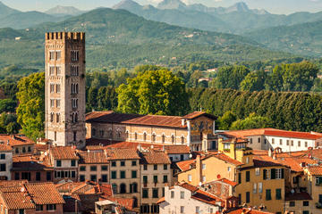 Half Day Tour from Florence to Lucca