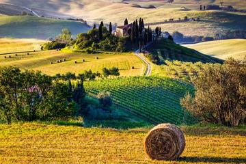 Organic Tour in Tuscany - 6 days tour - Honeymoon