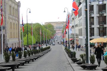 Private Tour: Introduction to Oslo