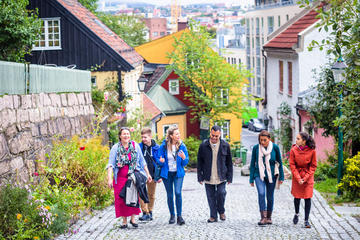 Small-Group Walking Tour of the Hip Side of Oslo
