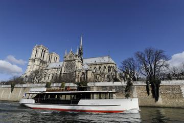 Vedettes de Paris Seine River Cruise: Direct Access E-Ticket