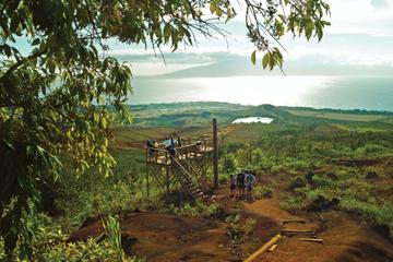 Ka'anapali Zipline Adventure on Maui