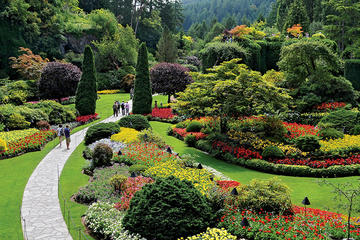 Private Back Country Drive to Butchart Gardens