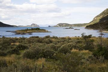 Ushuaia Shore Excursion: Private Tour of Tierra del Fuego National Park