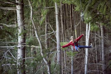 Zipline with Dart River Jet Combo Tour from Queenstown