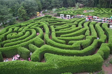 Jeju Kimnyoung Maze Park Discount Ticket