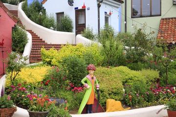 Petite France Discount Ticket