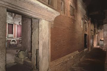 No Wait Dedicated Access: Vatican Necropolis and St. Peter's Basilica Guided Tour
