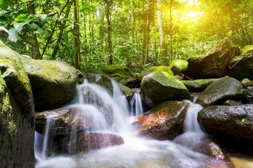 Waterfall Trail - Templer Park or Kanching Falls ( Seven Level Waterfall )