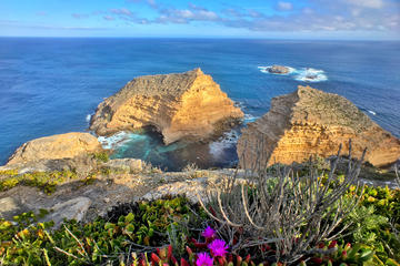 3-Day Best of Port Lincoln and Coffin Bay Private Tour from Adelaide