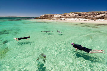 3 Day Eyres Wild West Coast Small Group Tour from Adelaide