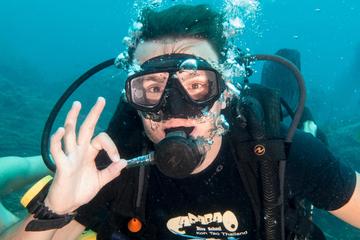 Try Scuba Diving in Koh Tao with Transfer