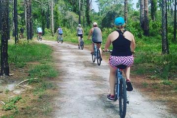 Boyd Hill Nature Preserve Bike Tour from St Petersburg