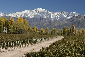 4-Day Trip to Mendoza by Air from Buenos Aires