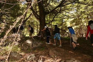 Cerro Colorado Trekking Tour from San Martin de los Andes