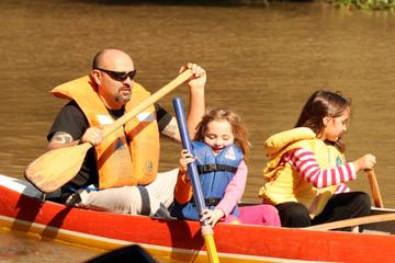 Full Day Adventure in Delta Tigre with Lunch