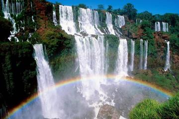 Full Day Tour to the Argentinian Falls and Photographic Safari in the Jungle