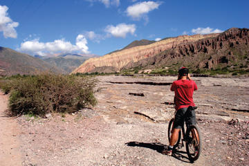 Half-Day Mountain Bike Tour to Juella from Tilcara