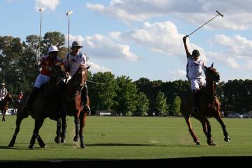 Half-Day Polo Experience in Buenos Aires