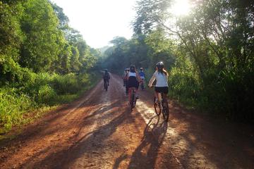 Iguazú Bike Tour to the Yaguarundi Road from Puerto Iguazú