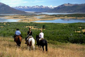 Nibepo Aike Ranch with Horseback Riding from el Calafate