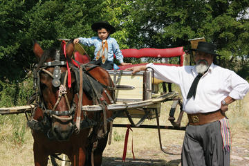 Private Tour: Full-Day Altamira Road Agritourism Experience from Mendoza