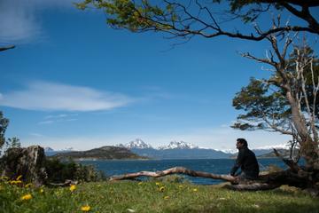 Tierra del Fuego National Park Private Half-Day Trip