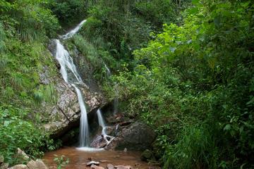 Yungas Half-Day Tour from Tucumán