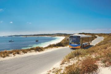 Rottnest Island Explorer Bus Tour from Hillarys Boat Harbour
