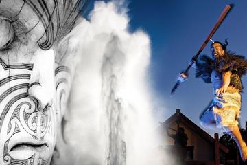 Waitomo Caves and Rotorua (Te Puia) Tour from Auckland in Small Groups
