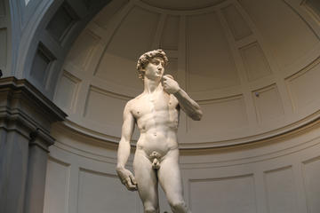 Florence Private City Walking tour including Michelangelo's David & the Duomo