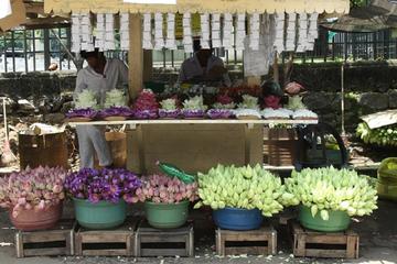 4-Night Private Tour of Luxurious Sri Lanka