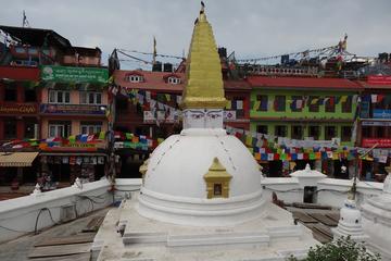 Half day Sightseeing of Boudhanath Stupa and Pashupatinath Temple