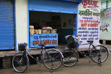 Udaipur by Cycle