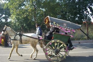 Udaipur - Walk for the Tongawallahs