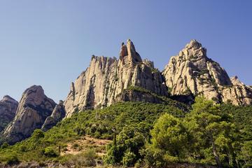 Experience Penedes: Castle & Winery Tour with Wine, Cava & Chocolate Tasting
