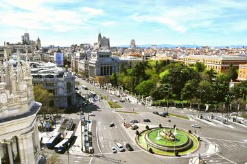 Madrid Tapas Bus, enjoy the real Spanish taste