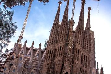 Sagrada Familia: Fast Track Guided Tour with Towers Access