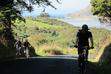 Otago Peninsula Bike Tour from Dunedin