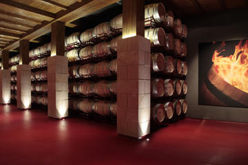 Tour plus tasting and appetizers