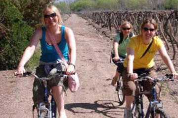 Bike Tour in Mendoza Wine Country