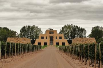 Catena Zapata Wine Tour from Mendoza