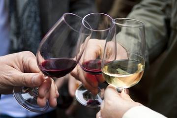 Luján de Cuyo Wine-Tasting Tour from Mendoza