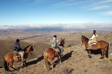 Mendoza Horseback Riding Tour with Traditional Argentine Asado