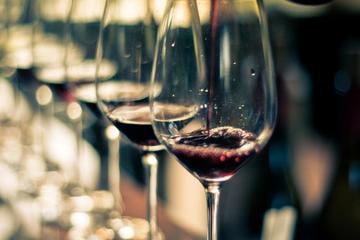 Uco Valley Wine Day Trip from Mendoza