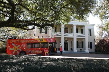 Day Trip City Sightseeing Natchez Hop On Hop Off Tour near Natchez, Mississippi 